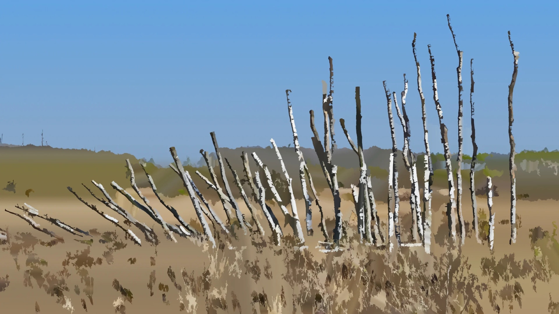 Landscape “art” in National Park “De Groote Peel” in Noord-Brabant, Netherlands