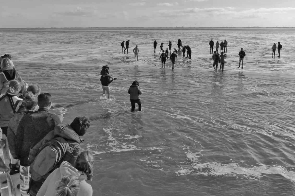 Walking on the seabed, north of Groningen