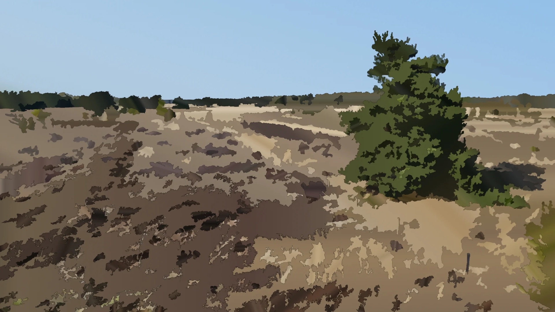 Landscape in Drenthe, Netherlands