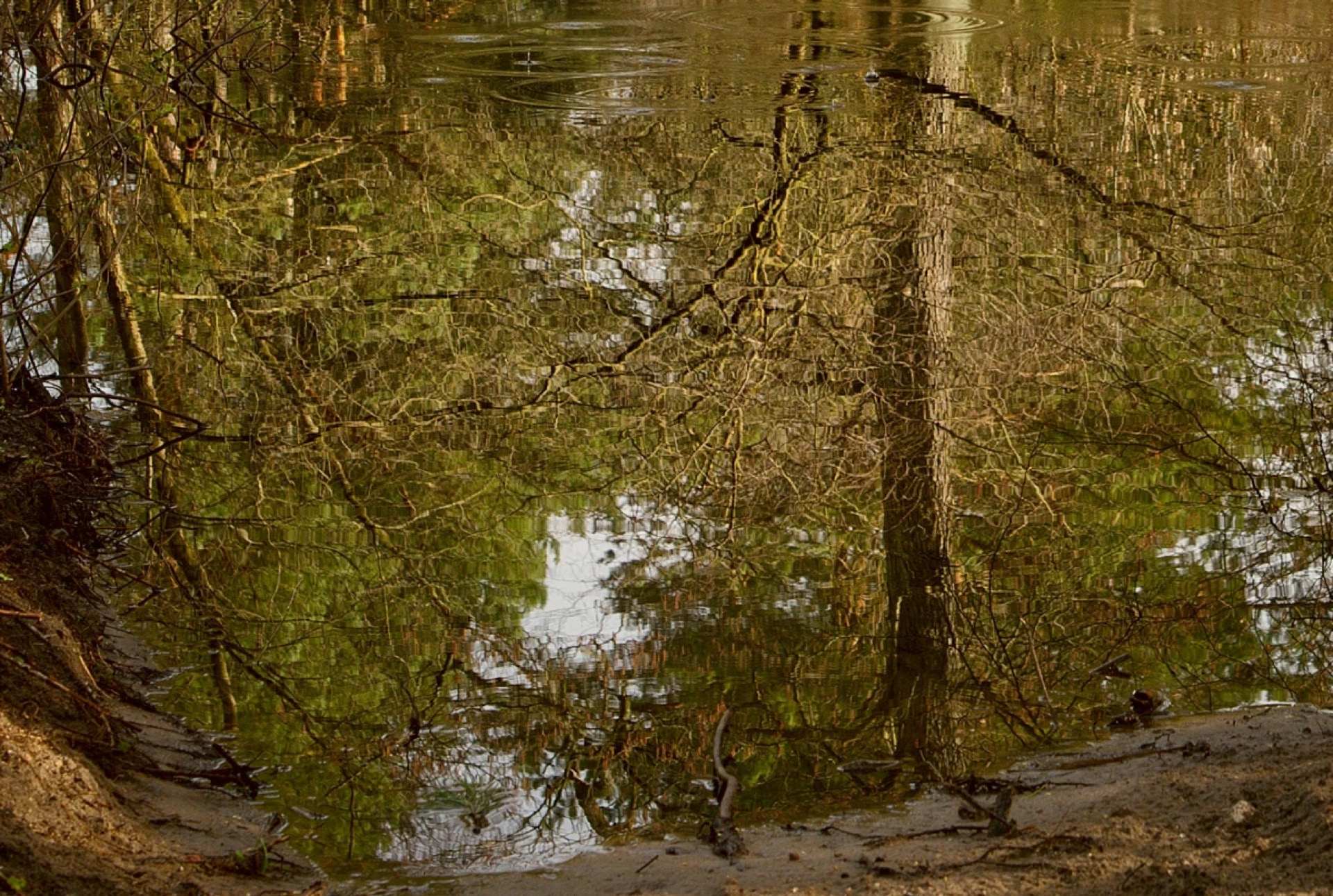 Bug Landscape Park -  Nabużański Park Krajobrazowy, Poland