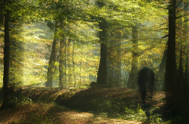 Photo Nienke Meijer