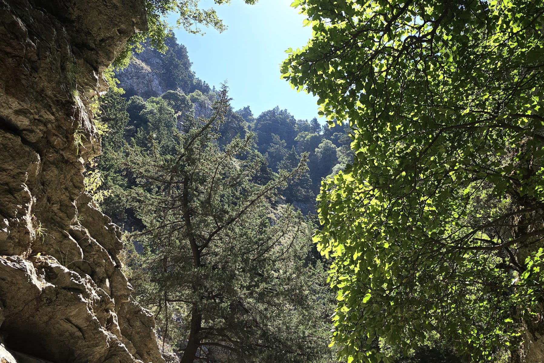 Nature on Crete