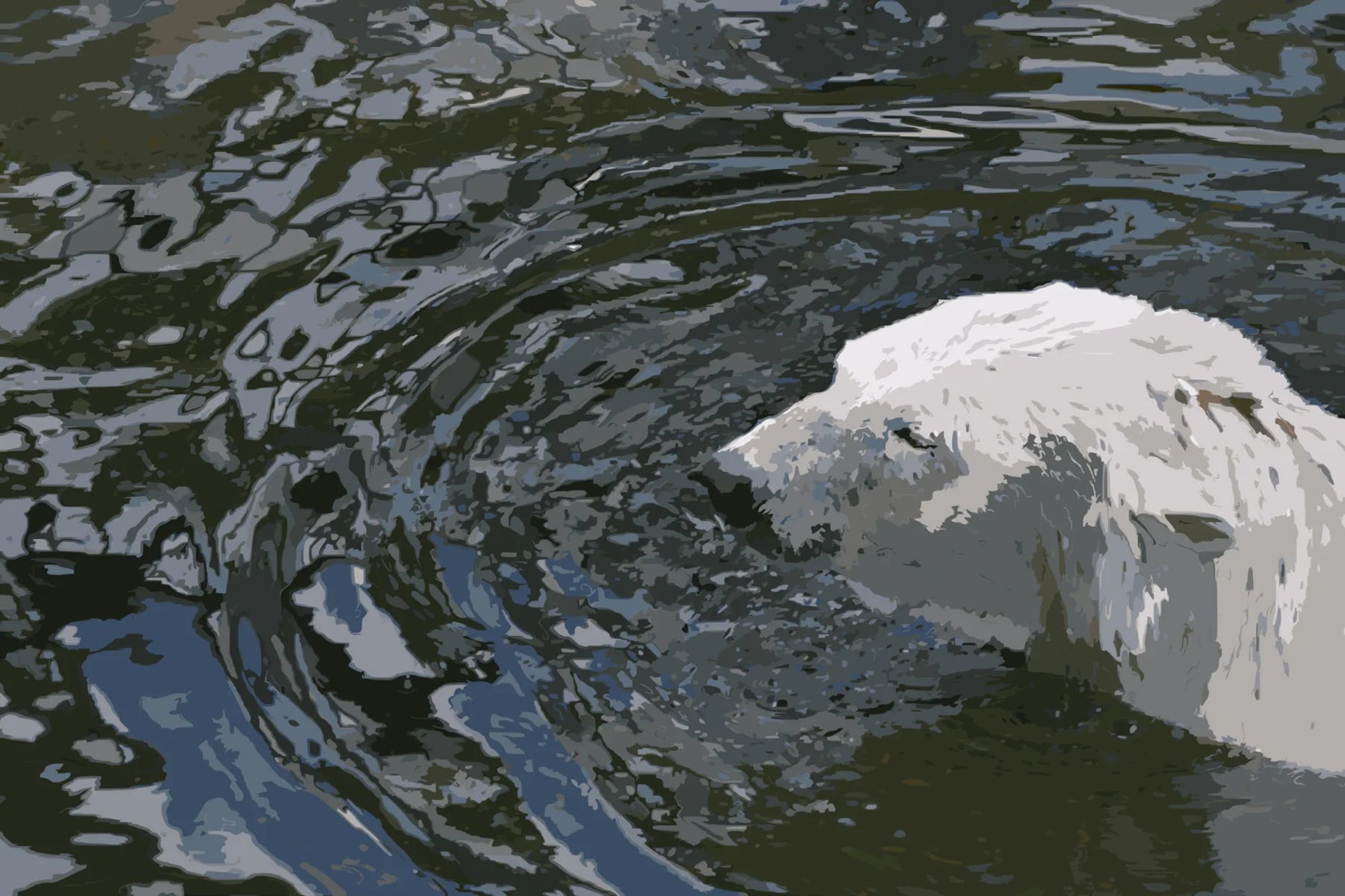 Photographic of a polar bear